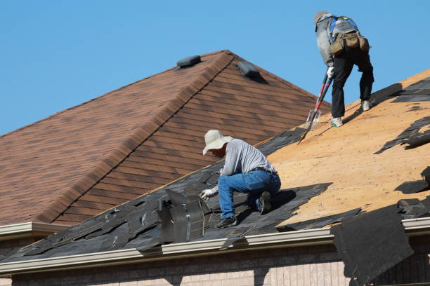 Best Roof Moss and Algae Removal  in Cetronia, PA